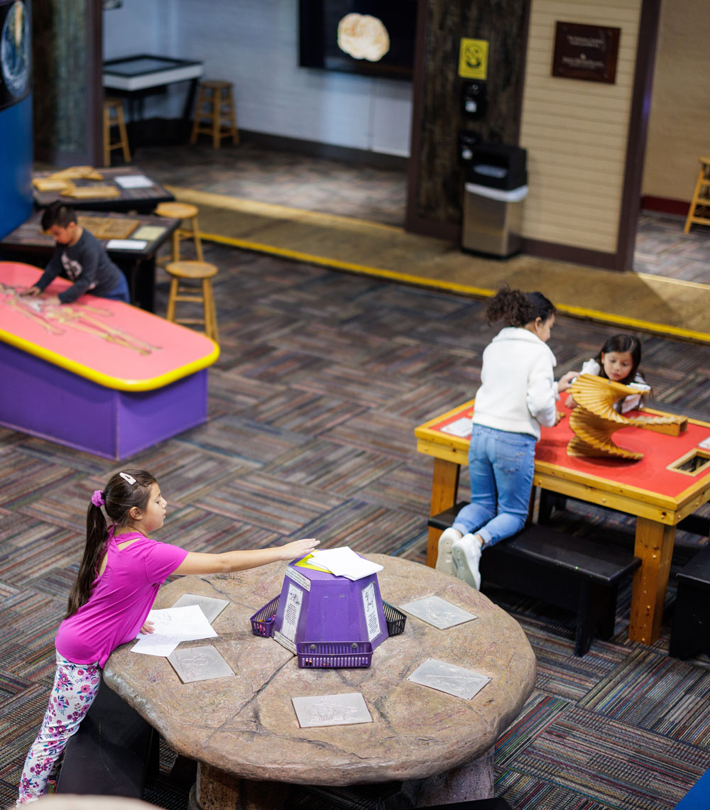 Birthday Parties Discovery Science Place